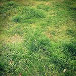 Profile Picture of Ryan Beringause (@uncagedlemur) on Instagram