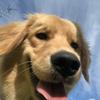 Profile Picture of Paula Luc (@paulaluc0) on Tiktok