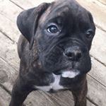 Profile Picture of George Fielding (@george.fielding2) on Instagram