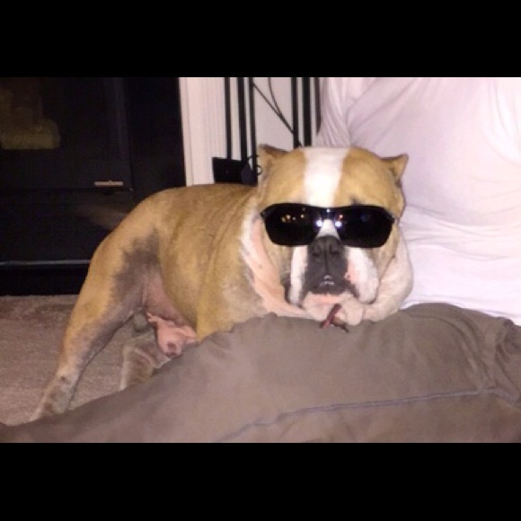 Profile Picture of Jackie Ramilo (@jackieramilo) on Poshmark