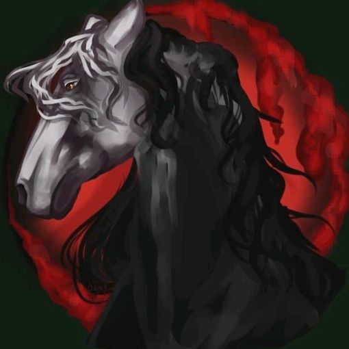 Profile Picture of Nastay_Dragons (@kindom_of_horses) on Tiktok