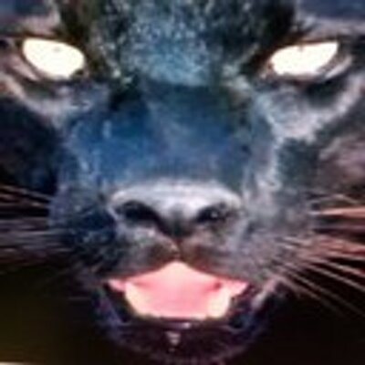 Profile Picture of Stacie Coleman (@staciecoleman8) on Twitter