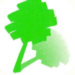 Profile Picture of Lehmann Baumschulen AG (@lehmannbaumschulen) on Instagram