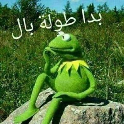 Profile Picture of Ghada Jaafar (@GhadaJaafar7) on Twitter