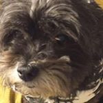 Profile Picture of Pamela Ashe (@ashepamela) on Instagram