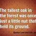 Profile Picture of Lillian Neilly (@lillianneilly) on Pinterest