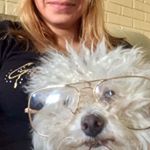 Profile Picture of Andrea Cavalli (@andreita85) on Instagram