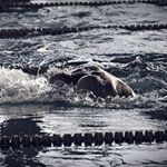 Profile Picture of Steven Monteleone (@stevmonteleone_) on Instagram