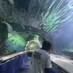 Profile Picture of horace james (@hjames.12) on Instagram