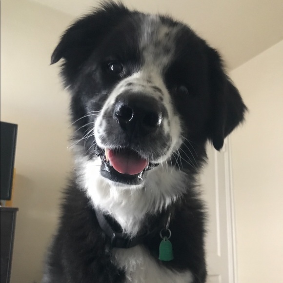 Profile Picture of Starr Grilo (@starr_grilo) on Poshmark