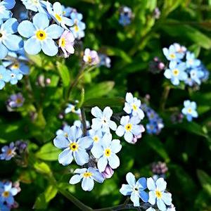 Profile Picture of Agata Kristy (@NancyFrost20) on Twitter