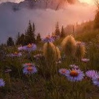 Profile Picture of Michael Mavely (@michael-mavely) on Quora