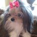 Profile Picture of Martha Keller (@martha.keller.167) on Facebook
