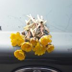 Profile Picture of Юлия Борзова (@yuliya_borzova) on Instagram