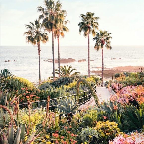 Rachel Brovold - Poshmark Profile Picture of Rachel Brovold (@rachel883008) on Poshmark