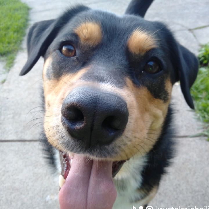 Profile Picture of krystalmichailide (@krystalmichailide) on Tiktok