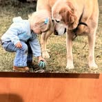 Profile Picture of Ryan Krause (@Ryan-Krause) on Facebook