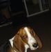Profile Picture of Ray Schaller (@ray.schaller.96) on Facebook