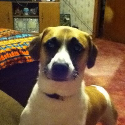 Profile Picture of Jeff Hinchman (@austionh1) on Twitter