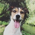 Profile Picture of Ruby Norman (@_ruby._.backup_) on Instagram