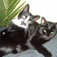 Profile Picture of Michael Lysek (@michael-lysek) on Quora