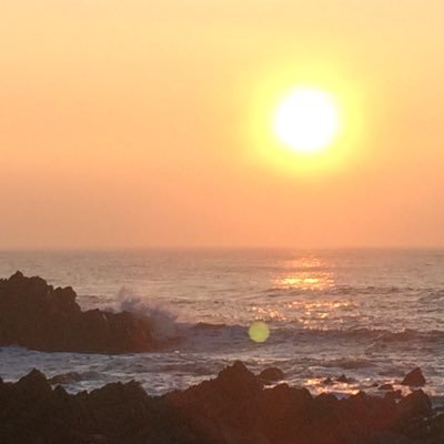 Stephen Collom - Twitter Profile Picture of Stephen Collom (@stevecollom) on Twitter