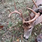 Profile Picture of Chad Bowling (@Chad-Bowling) on Facebook