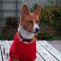 Profile Picture of B Ann Hageman (@b-ann-hageman) on Quora