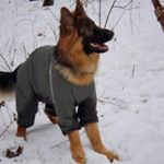 Profile Picture of raeann patton (@raeann.patton) on Instagram