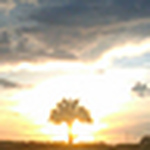 Profile Picture of Danielle Hicks (@danielle6992) on Flickr