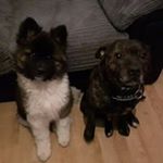 Profile Picture of Steven Pearson (@steven.pearson.9887) on Instagram