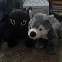 Bryan Ruiz - Quora Profile Picture of Bryan Ruiz (@bryan-ruiz-7) on Quora