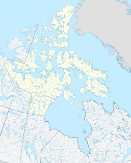 Profile Picture of Umingmalikon Wikipedia