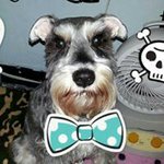 Profile Picture of Leo Tsui (@leo.tsui.9) on Instagram