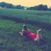 Profile Picture of Marie Ullrich (@marie.ullrich.37) on Facebook