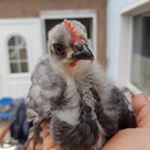 Michael Grund - Instagram Profile Picture of Michael Grund (@michael.grund.94) on Instagram