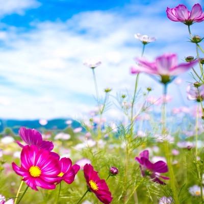 Profile Picture of Deb Carlson (@debcarlson65) on Twitter