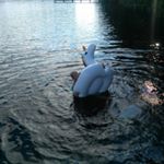 Profile Picture of Эанне гайлорд (@samwiegand31808) on Instagram