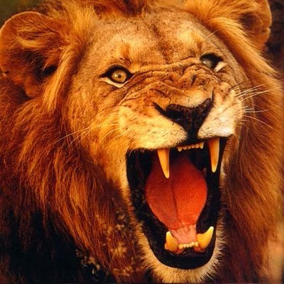Profile Picture of James Cusack (@jimcusack27) on Twitter