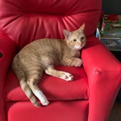 Profile Picture of Sierra Ferrell (@sierraferrell5) on Tiktok