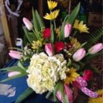 Jan Hart - Instagram Profile Picture of Jan Hart (@janishart55) on Instagram