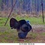 Dexter McFarland - Instagram Profile Picture of Dexter McFarland (@deerhtr22) on Instagram