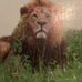 Profile Picture of Ralph Knodel (@ralph.knodel.7) on Facebook