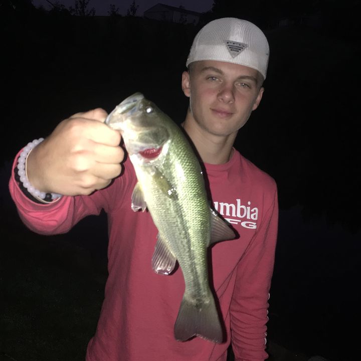 Profile Picture of Gavin Howard (@@gavin.howard) on Tiktok