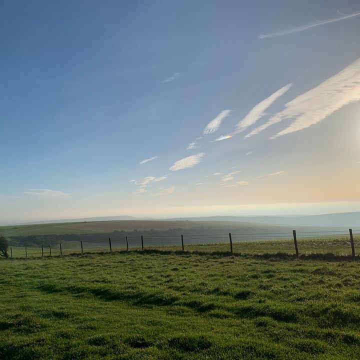 Profile Picture of breadstands (@breadstands) on Tiktok