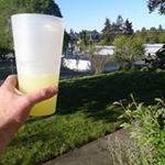 Profile Picture of Kurt Metzger (@sunloverkurt) on Instagram