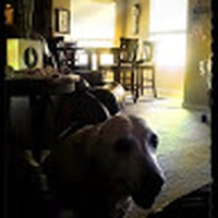 Profile Picture of Jerome Latham (@jerome-latham) on Quora