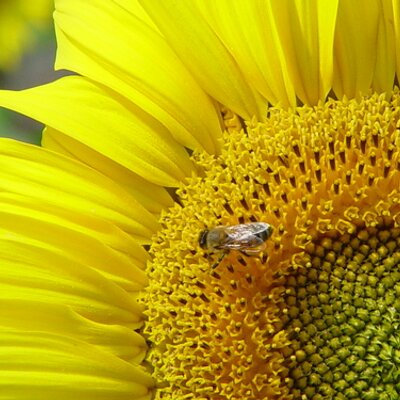 Profile Picture of Ben Hua (@hua7425) on Twitter