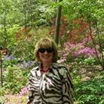 Profile Picture of Jeanene Davey (@jeanenedavey) on Instagram