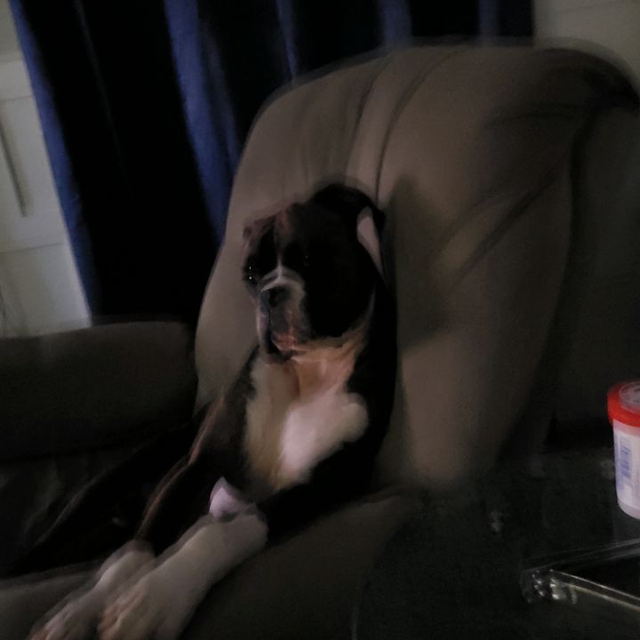 Profile Picture of Justin Strong (@justinstrong02) on Tiktok